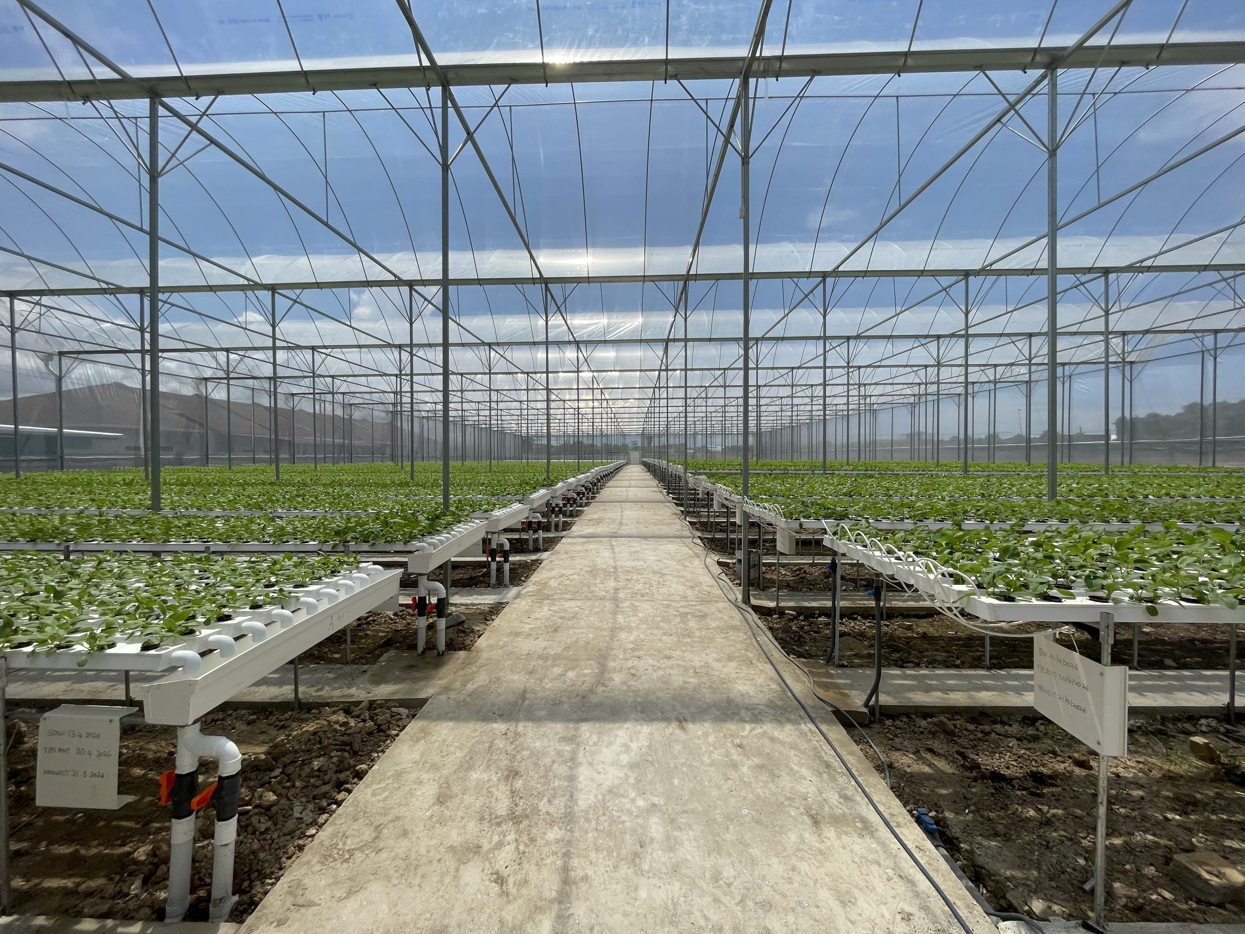 Hydroponic Farming