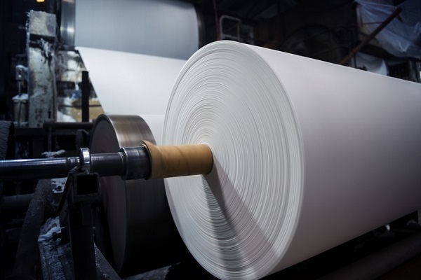 Pulp & Paper